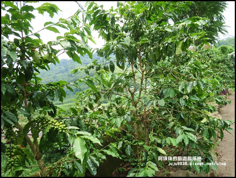 泰安輕旅行66.JPG 泰安輕旅行66.JPG