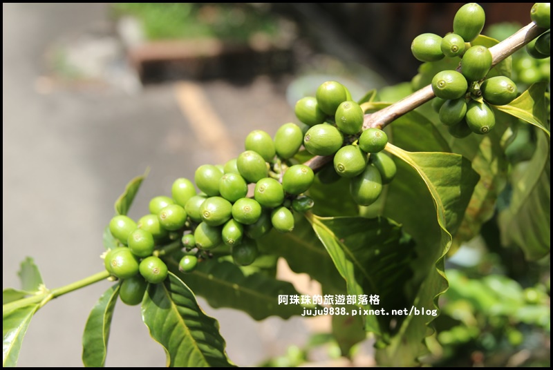 泰安輕旅行95.JPG 泰安輕旅行95.JPG