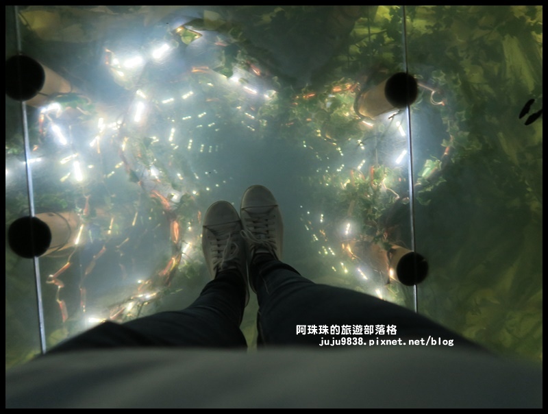 泰安輕旅行112.JPG 泰安輕旅行112.JPG