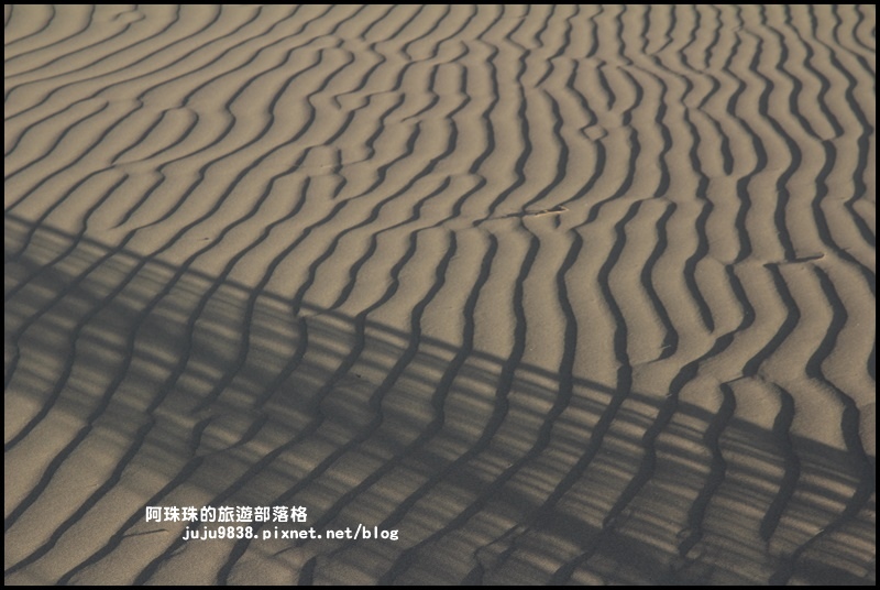 草漯沙丘21.JPG 草漯沙丘21.JPG