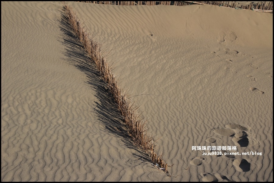 草漯沙丘20.JPG 草漯沙丘20.JPG