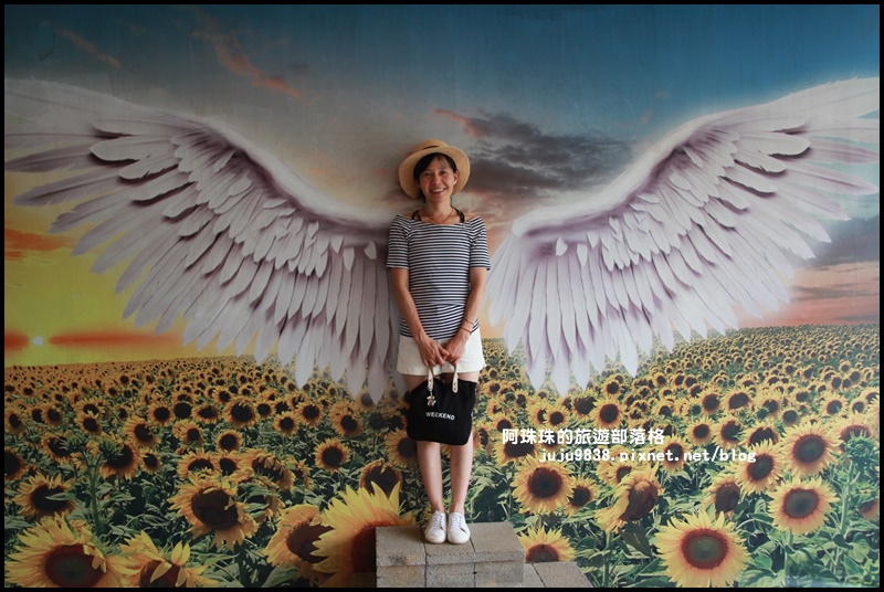 向陽農場12.JPG