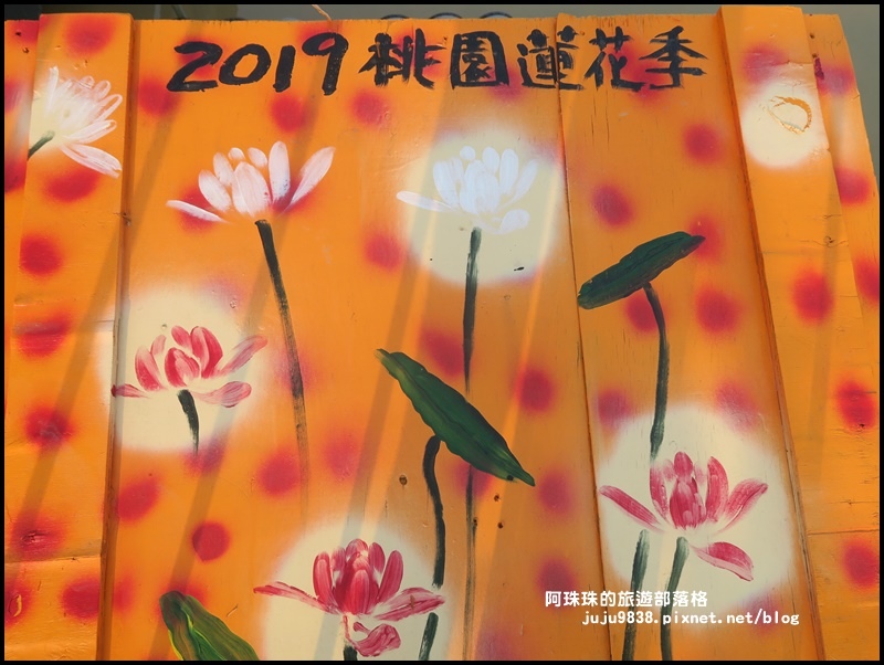 桃園蓮花季21.JPG