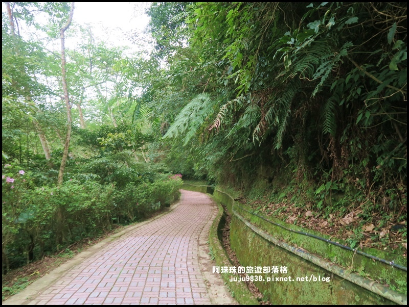 三民蝙蝠洞12.JPG 三民蝙蝠洞12.JPG