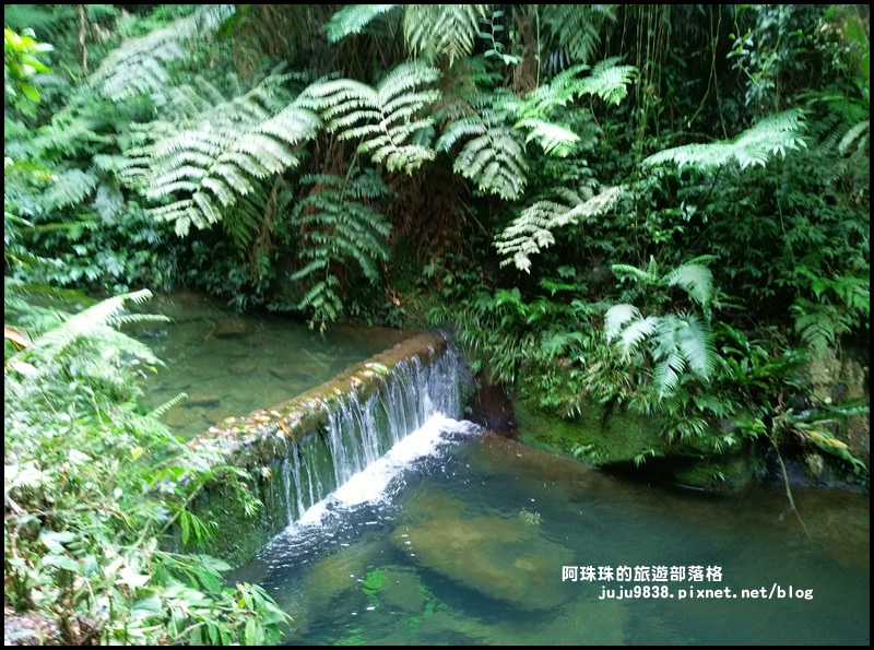 三民蝙蝠洞1.jpg 三民蝙蝠洞1.jpg