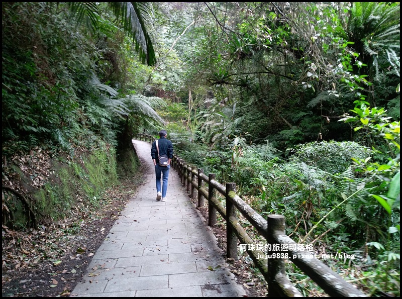 三民蝙蝠洞2.jpg 三民蝙蝠洞2.jpg