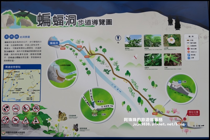 三民蝙蝠洞9.JPG 三民蝙蝠洞9.JPG