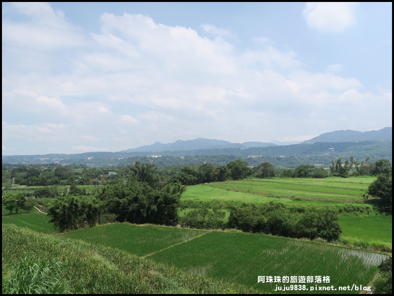 大溪韭菜花季1.JPG 大溪韭菜花季1.JPG