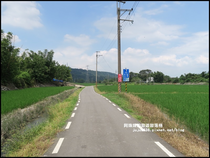 大溪韭菜花季2.JPG 大溪韭菜花季2.JPG