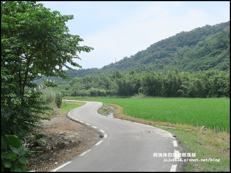 大溪韭菜花季13.JPG 大溪韭菜花季13.JPG