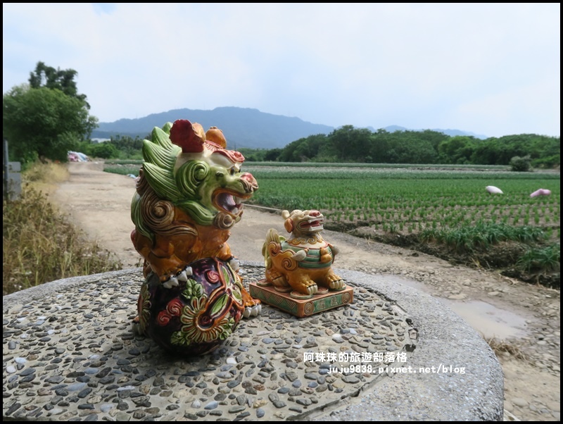 大溪韭菜花季9.JPG 大溪韭菜花季9.JPG