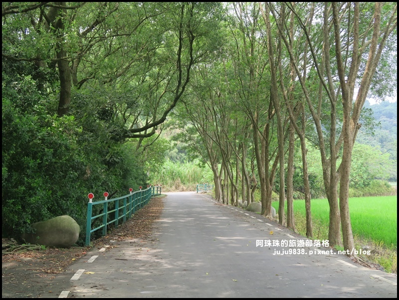 大溪韭菜花季14.JPG 大溪韭菜花季14.JPG