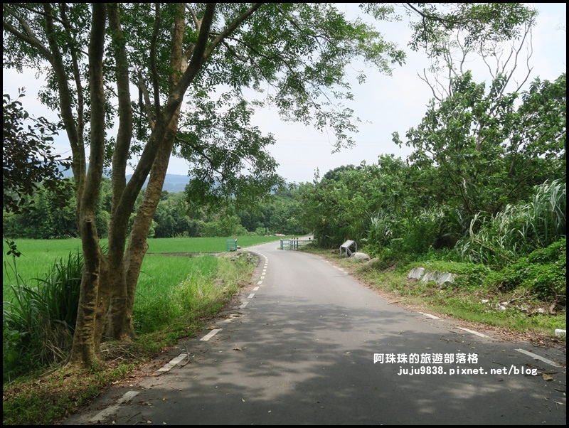 大溪韭菜花季15.JPG 大溪韭菜花季15.JPG