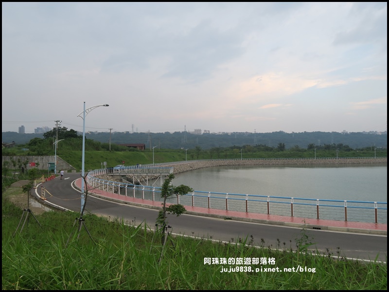 大溪韭菜花季19.JPG 大溪韭菜花季19.JPG