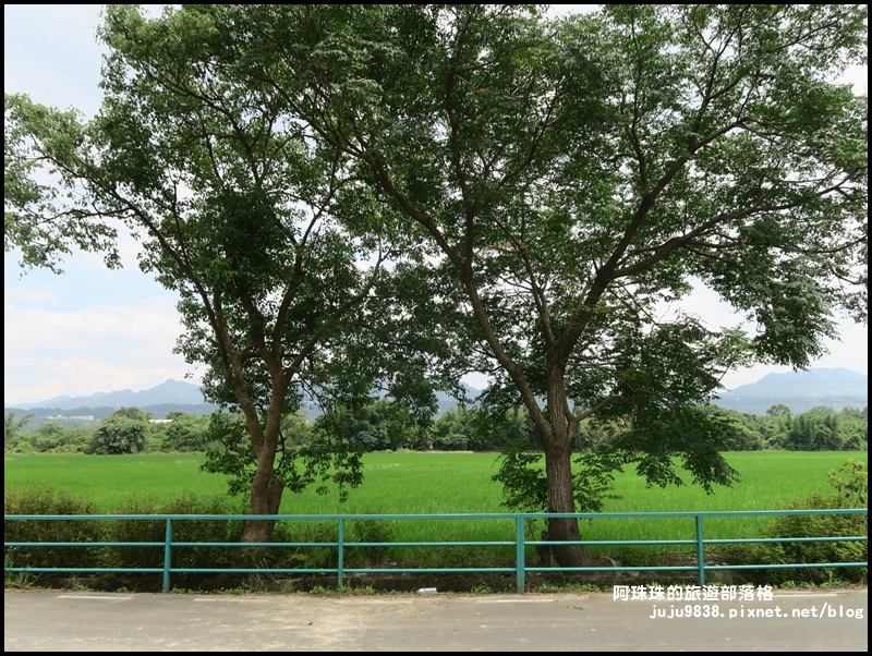 大溪韭菜花季16.JPG 大溪韭菜花季16.JPG