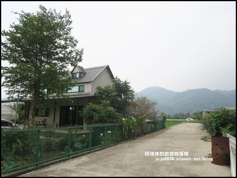 大溪韭菜花季29.JPG 大溪韭菜花季29.JPG