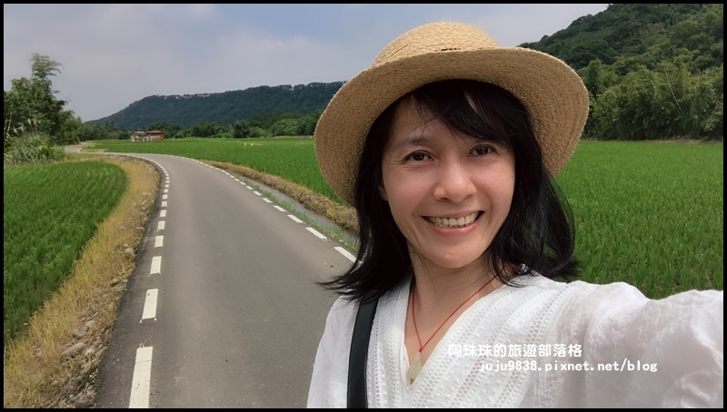 大溪韭菜花季40.JPG 大溪韭菜花季40.JPG