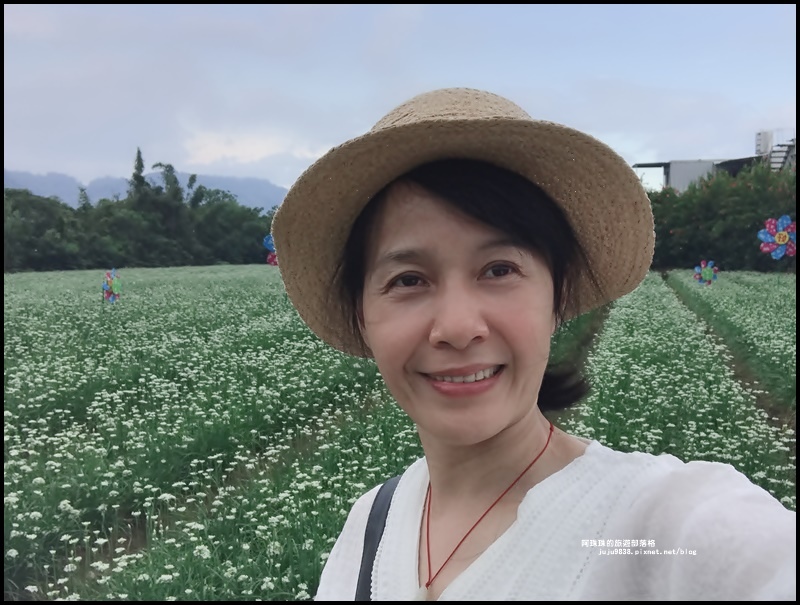 大溪韭菜花季42.JPG 大溪韭菜花季42.JPG