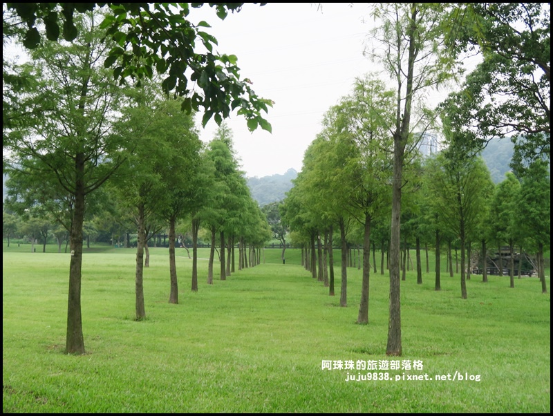 大溪河濱公園8.JPG 大溪河濱公園8.JPG