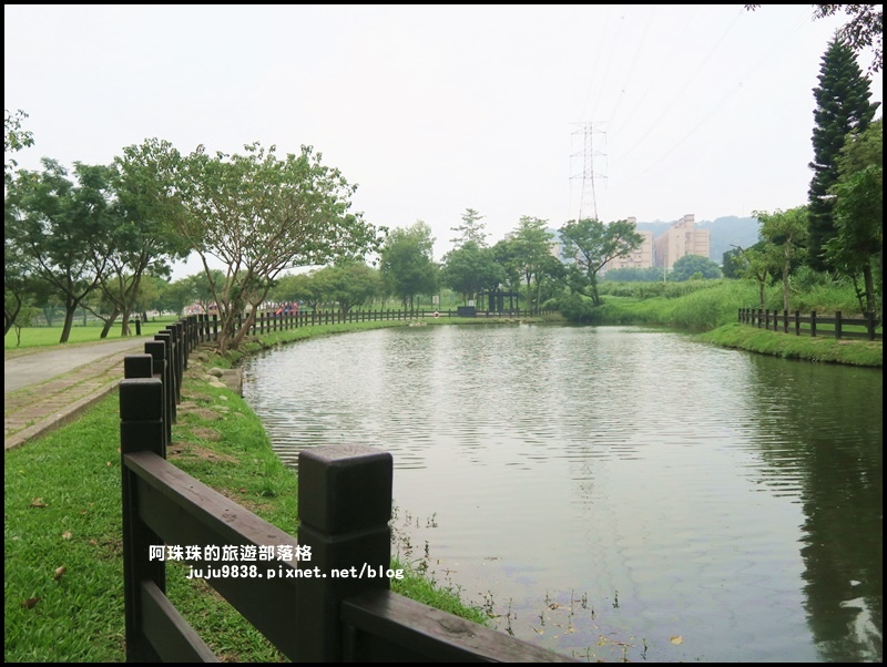 大溪河濱公園15.JPG