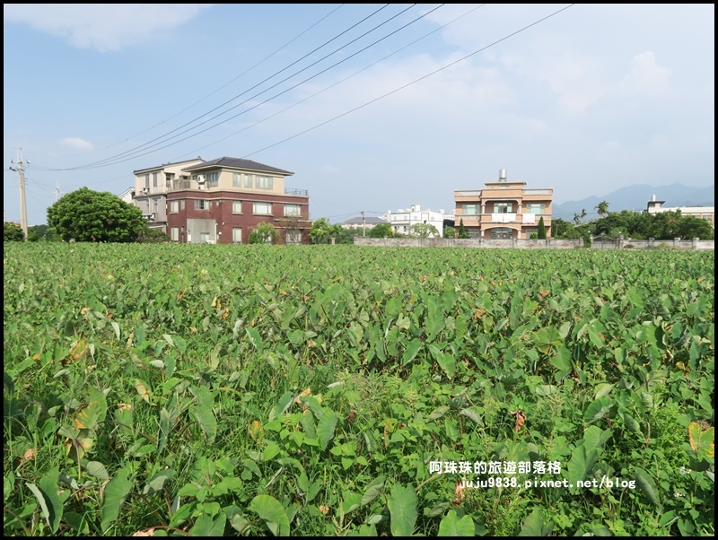 公館阿煥伯19.JPG 公館阿煥伯19.JPG