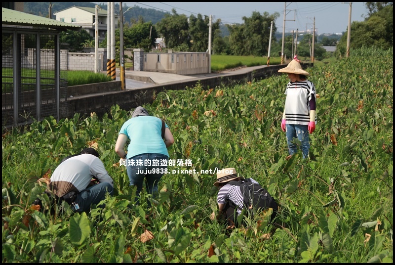 公館阿煥伯6.JPG