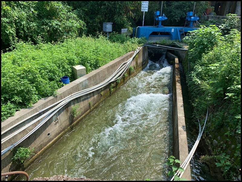 公館穿龍圳5.JPG 公館穿龍圳5.JPG