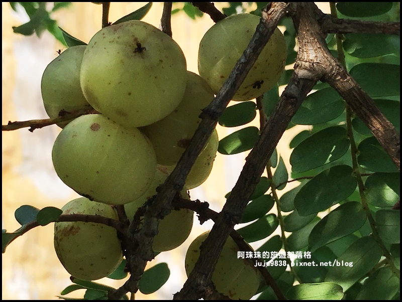 公館小鎮8 公館小鎮8