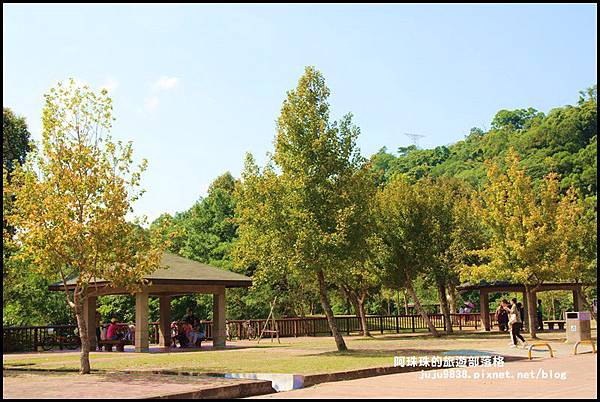 三坑生態公園24.JPG