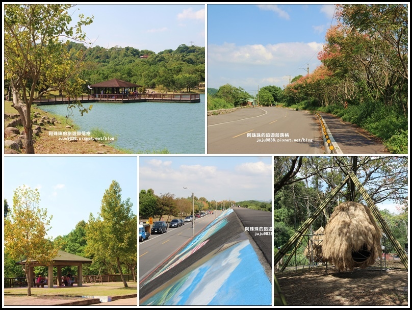 三坑自然生態公園,石門水庫,大漢溪,生態保育,鳥巢,自行車道,台灣欒樹,桃園,三坑,公園,秋天,博物館