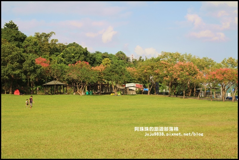 大溪河濱公園5.JPG