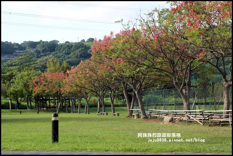 大溪河濱公園23.JPG