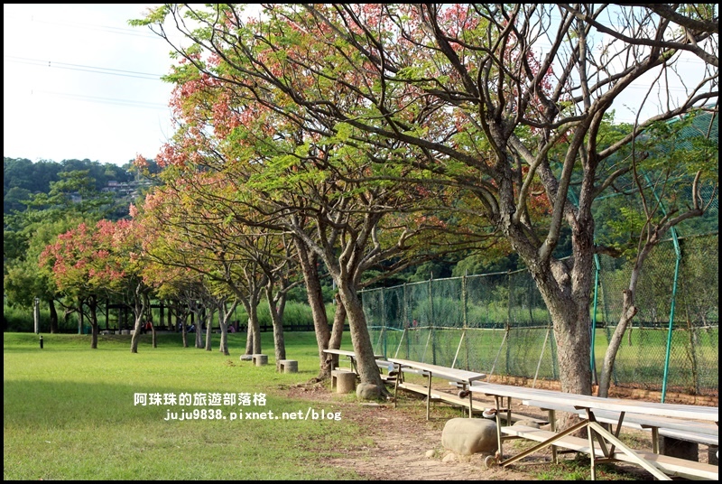 大溪河濱公園19.JPG