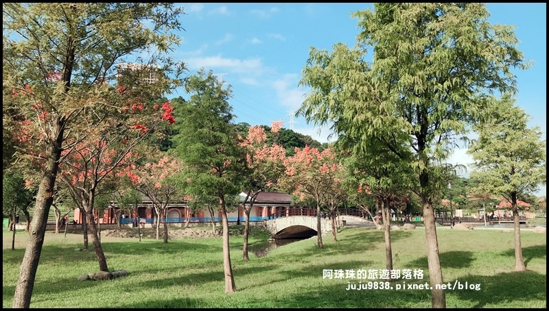 大溪河濱公園26.JPG