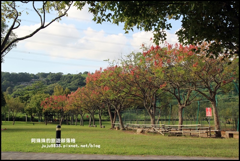 大溪河濱公園21.JPG