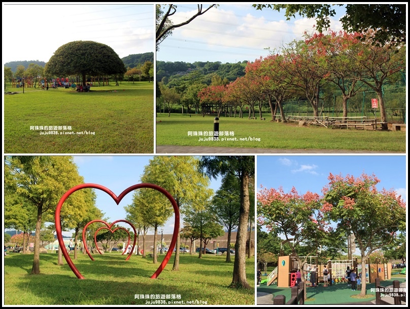 大溪河濱公園,台灣欒樹,落羽松,兒童遊戲設施,青少年體能訓練設施,壘球場,野餐,桃園,大溪,博物館