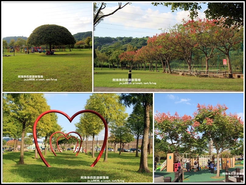 桃園,大溪,大溪河濱公園,台灣欒樹,落羽松,博物館,老街,桃園景點