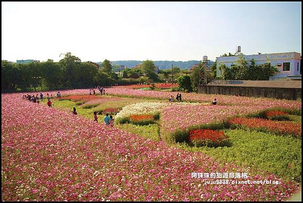 大溪花海27.JPG