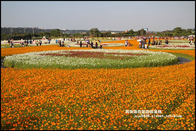 大溪花海46.JPG