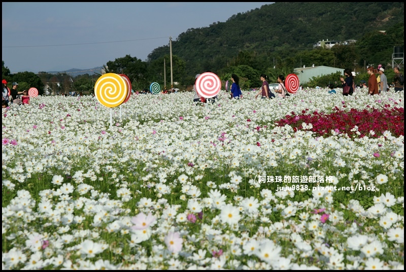 大溪花海49.JPG 大溪花海49.JPG