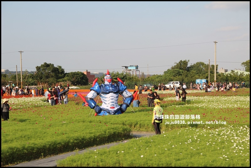 大溪花海58.JPG