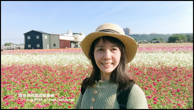 大溪花海76.JPG 大溪花海76.JPG