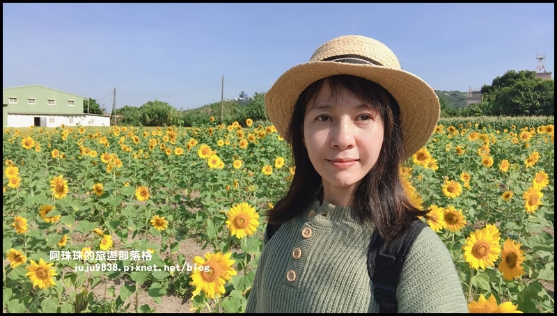 大溪花海72.JPG 大溪花海72.JPG