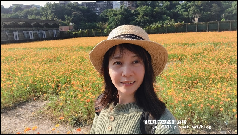 大溪花海74.JPG 大溪花海74.JPG