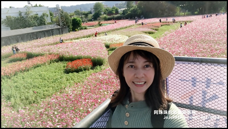 大溪花海75.JPG 大溪花海75.JPG