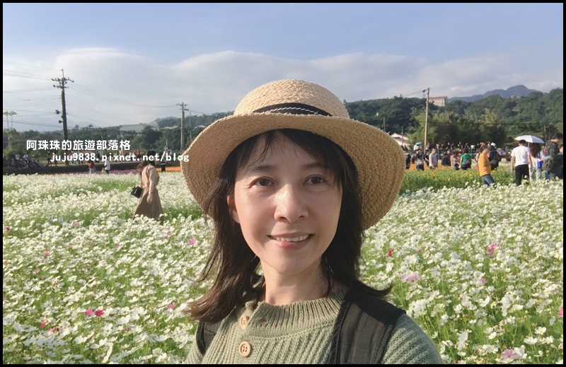 大溪花海78.JPG 大溪花海78.JPG