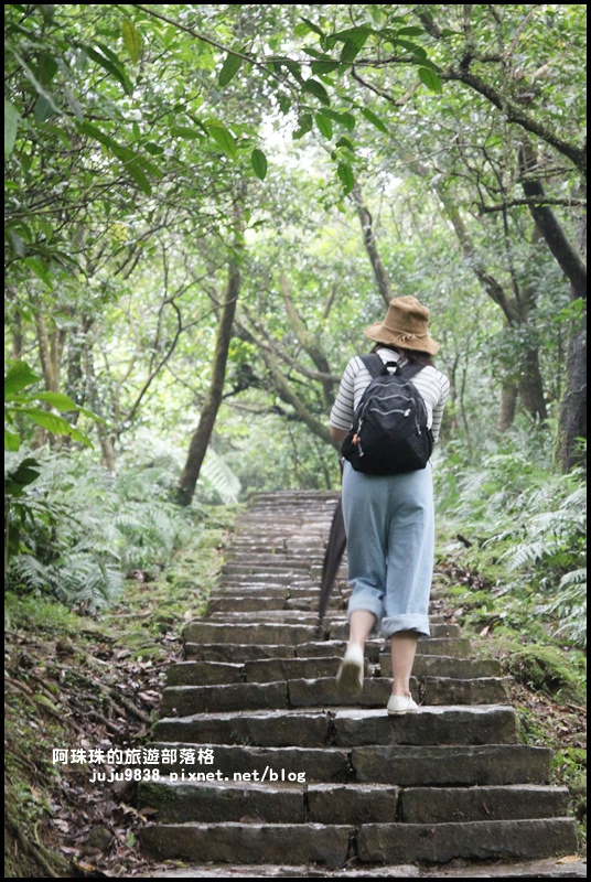 草嶺古道7.JPG