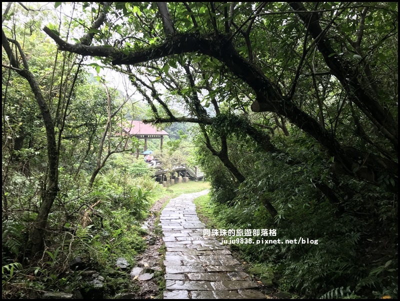 草嶺古道61.JPG