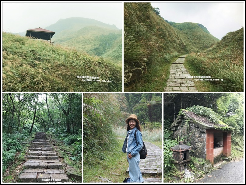 福隆,草嶺古道,芒花,2019草嶺古道芒花季,步道,登山,新北景點