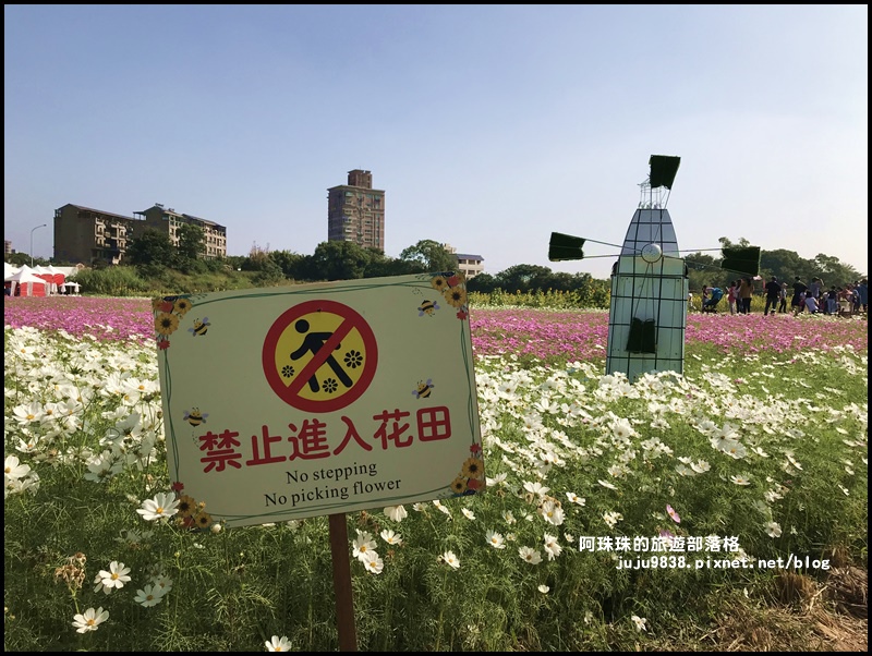 中壢花海28.JPG 中壢花海28.JPG